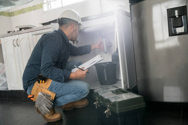 Best Affordable Plumbing Services  in Lino Lakes, MN